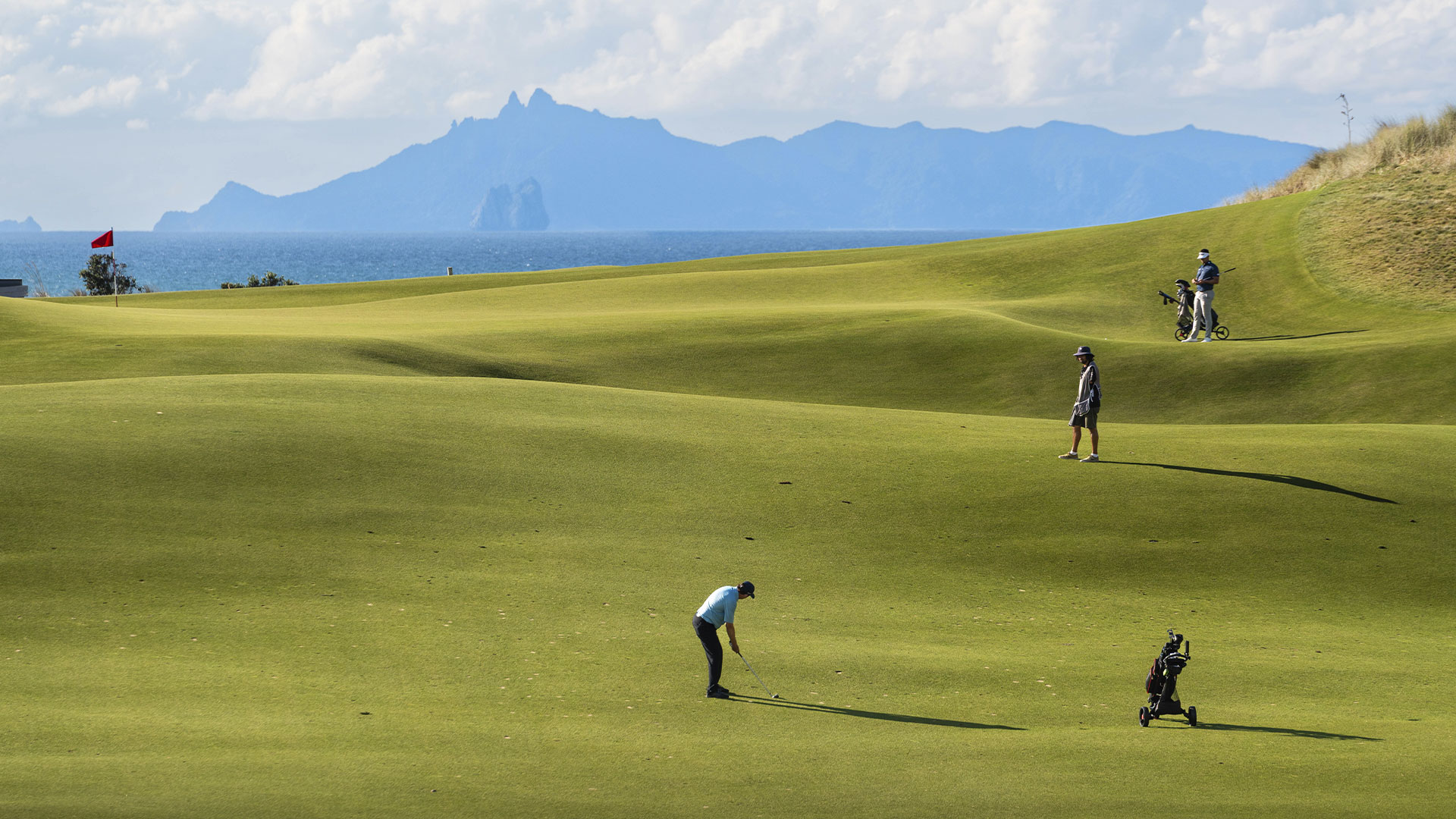 Lexus Golf NZ