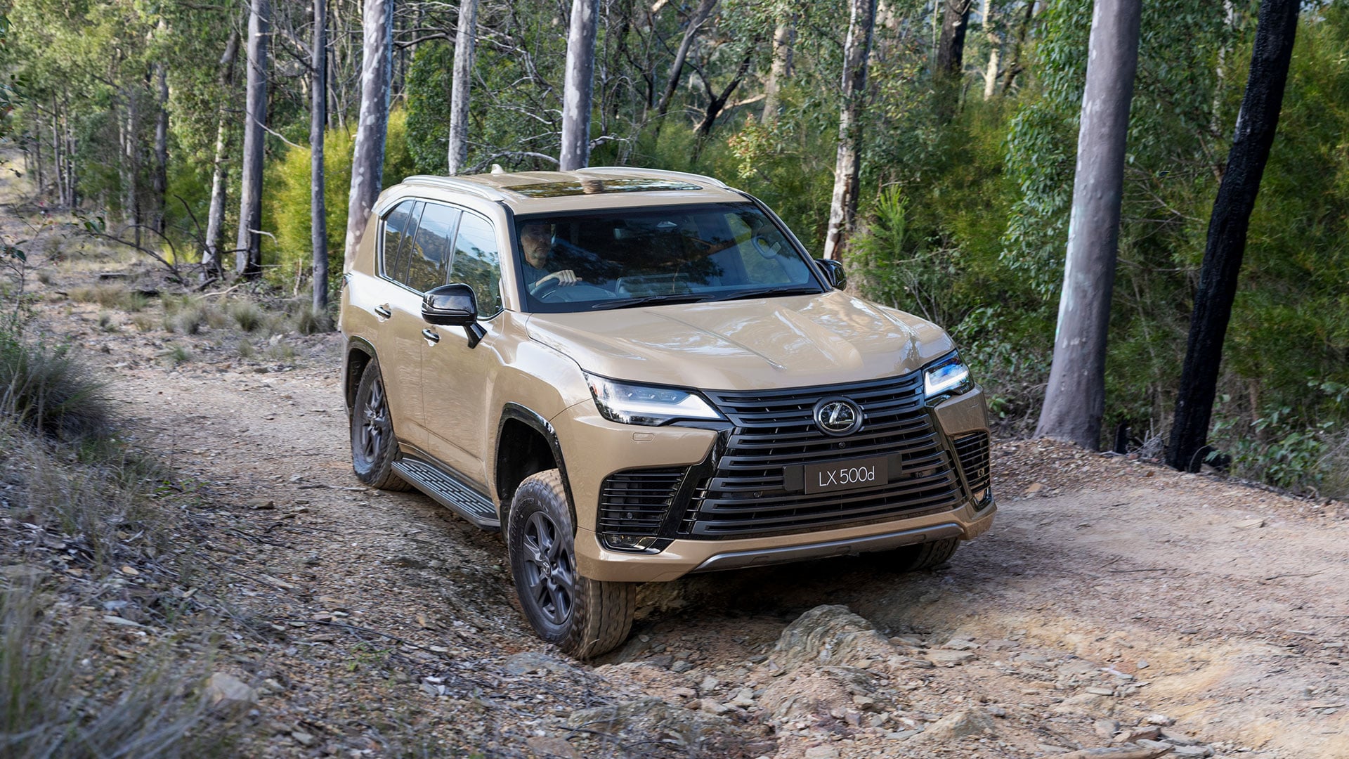 The Lexus LX 500d Overtrail in Earth tone driving along a forest track